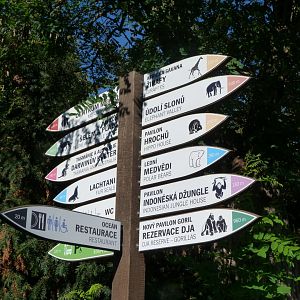 Directional signs -Zoo Praha (2025)