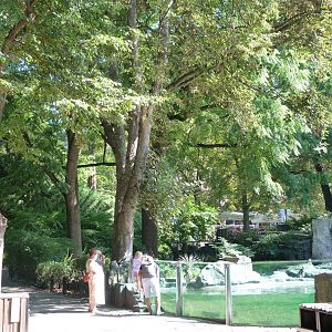 View around penguin exhibit -Zoo Praha (2025)