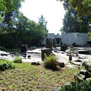 Humboldt penguin and Fuegian steamer duck exhibit -Zoo Praha (2025)