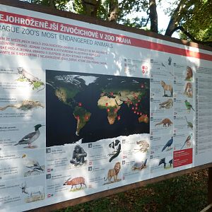 Conservation sign -Zoo Praha (2025)