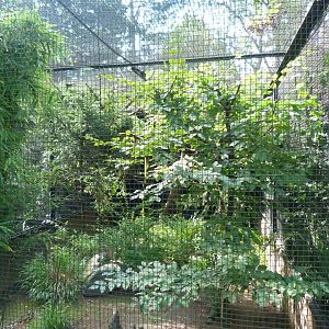 One of the aviaries at the Pheasantry -Zoo Praha (2025)