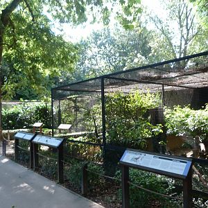 Pheasantry view -Zoo Praha (2025)