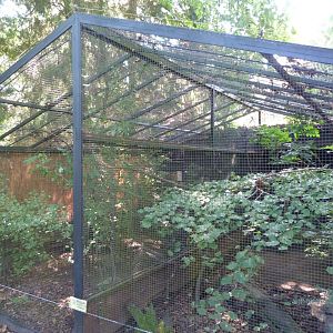 One of the aviaries at the Pheasantry -Zoo Praha (2025)