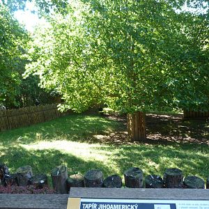 South American tapir exhibit -Zoo Praha (2025)