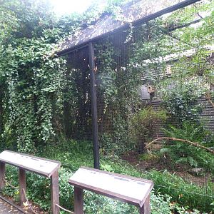 Bakcside of the Pheasantry -Zoo Praha (2025)