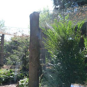Fishing owl aviaries -Zoo Praha (2025)