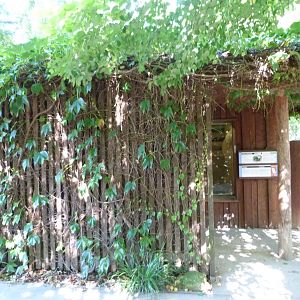 Malayan tapir house entrance