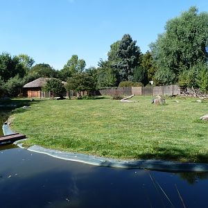 Western sitatunga and Marabou exhibit -Zoo Praha (2025)