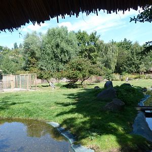 Western sitatunga and Marabou exhibit -Zoo Praha (2025)