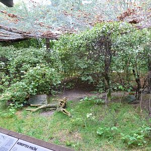 European aviary -Zoo Praha (2025)