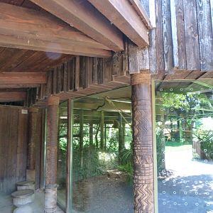 Javan gibbon house -Zoo Praha (2025)