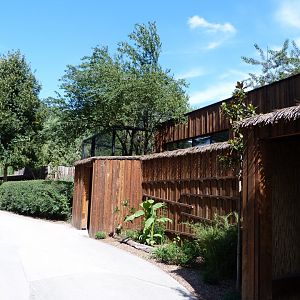 Yellow-breasted capuchin house -Zoo Praha (2025)