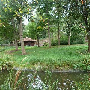 Mexican spider monkey exhibit -Zoo Praha (2025)