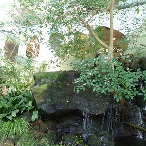 View in "Sichuan" -Zoo Praha (2025)