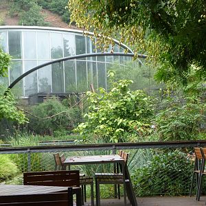 View from main restaurant -Zoo Praha (2025)