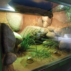 Tortoise nursery -Zoo Praha (2025)