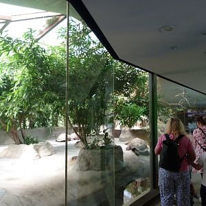 Giant tortoise house -Zoo Praha (2025)