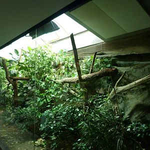 Crocodile monitor and Forsten’s tortoise exhibit -Zoo Praha (2025)