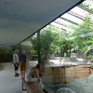 Giant tortoise house -Zoo Praha (2025)