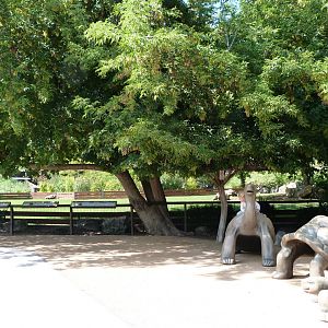 Giant tortoise viewing area -Zoo Praha (2025)