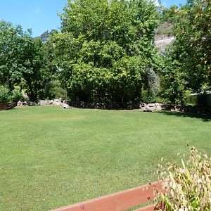 Santa Cruz giant tortoise, Pinzon giant tortoise and Aldabra giant tortoise exhibit -Zoo Praha (2025)