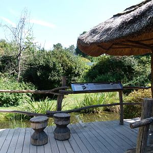 White-belted ruffed lemur viewing area -Zoo Praha (2025)