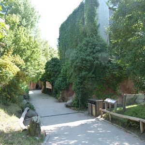 View around "Méfou Centre" -Zoo Praha (2025)