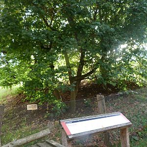 Empty exhibit -Zoo Praha (2025)