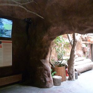 View of "Méfou Centre" -Zoo Praha (2025)