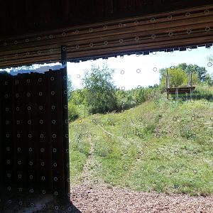 South African cheetah exhibit -Zoo Praha (2025)