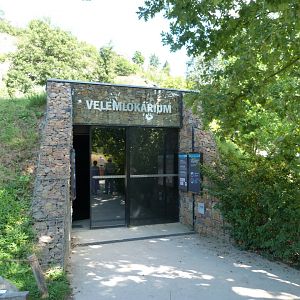 Entrance to the Chinese giant salamander house -Zoo Praha (2025)
