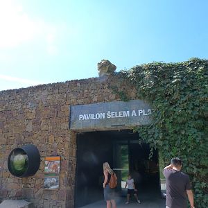 Entrance to the felid and reptile house -Zoo Praha (2025)