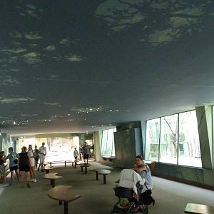 Felid and reptile house -Zoo Praha (2025)