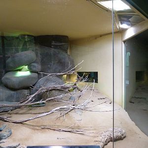 Central Asian desert exhibit -Zoo Praha (2025)