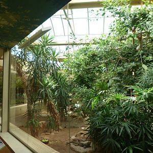 Caribbean exhibit -Zoo Praha (2025)