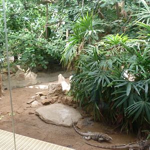 Caribbean exhibit -Zoo Praha (2025)