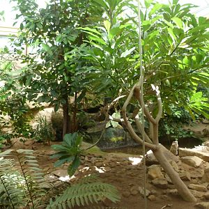 Caribbean exhibit -Zoo Praha (2025)