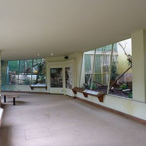 Felid and reptile house -Zoo Praha (2025)