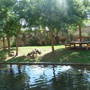 Sumatran tiger exhibit -Zoo Praha (2025)