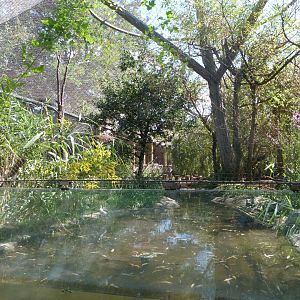 European wetlands aviary -Zoo Praha (2025)