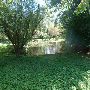 European white stork, Secretary, Wattled crane, Blue crane and waterfowl exhibit -Zoo Praha (2025)