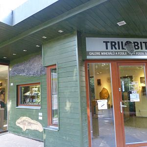 Fossil and mineral shop -Zoo Praha (2025)