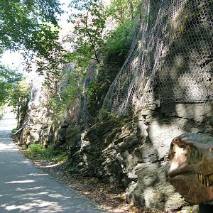 Cliff view -Zoo Praha (2025)