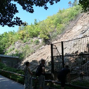 Himalayan tahr exhibit -Zoo Praha (2025)