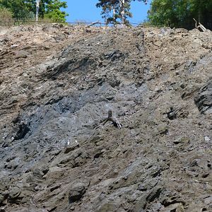 Himalayan tahr exhibit -Zoo Praha (2025)