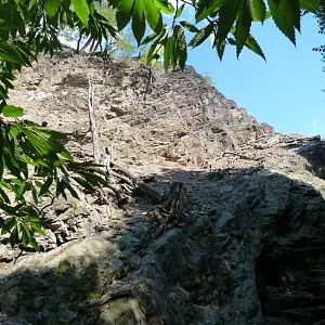 Barbary sheep and Barbary macaque exhibit -Zoo Praha (2025)