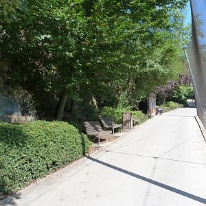 View of the path between the Asian aviary and the cliff -Zoo Praha (2025)
