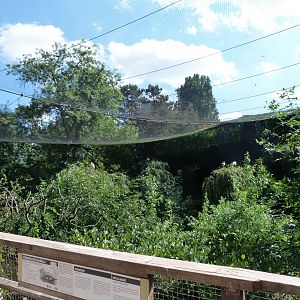 Asian cliff walkthrough aviary -Zoo Praha (2025)