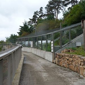 Czech reptiles outdoors exhibits -Zoo Praha (2025)