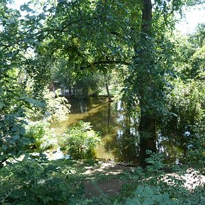 Great white pelican and Dalmatian pelican exhibit -Zoo Praha (2025)